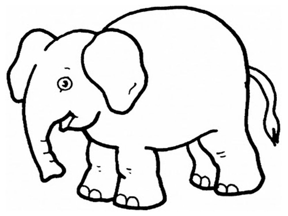  Galería de imágenes  Dibujos de elefantes